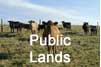 The Public Lands Icon